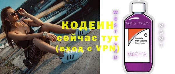 соль ск Вяземский