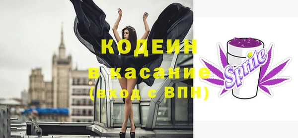 соль ск Вяземский