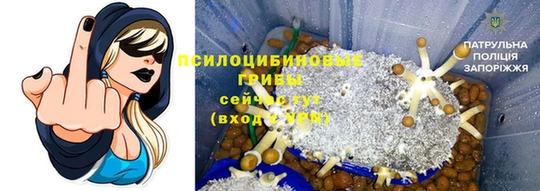 ECSTASY Вязьма