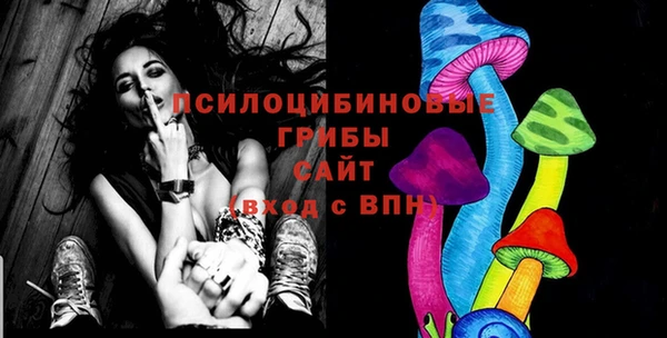 ECSTASY Вязьма