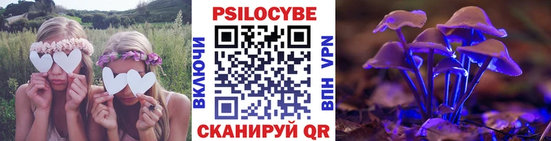 Галлюциногенные грибы Psilocybine cubensis Валдай